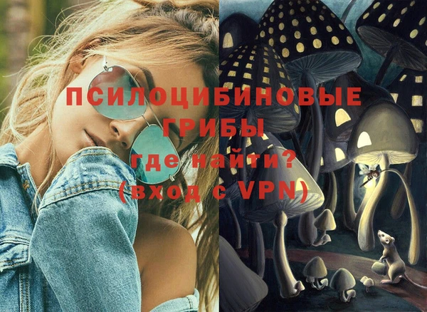 2c-b Алексин