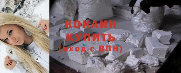 дживик Абинск